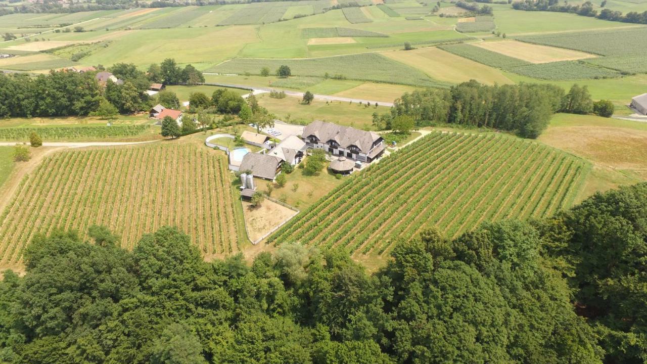 Villa Istenič Bizeljsko Esterno foto